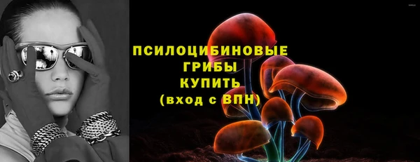 стафф Саяногорск